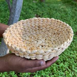 Fibre fruit bowl